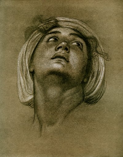 Estudio de una cabeza, 1901 de Unbekannt