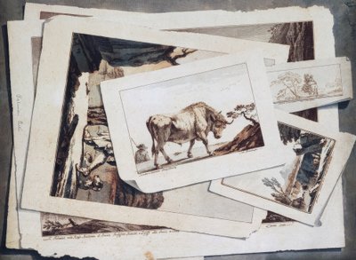 Estudio de dibujos y grabados de Unbekannt