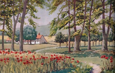 Verano - Los cambios físicos, químicos y biológicos provocados por el sol durante el año, 1935 de Unbekannt