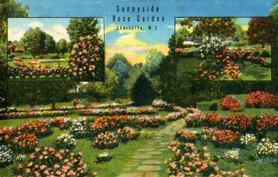 Jardín de rosas de Sunnyside, Charlotte, N.C., 1942 de Unbekannt
