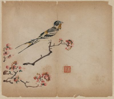 Golondrina en Rama de Durazno en Flor, 1368-1644 de Unbekannt