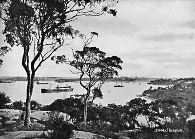 Puerto de Sídney, desde Cremorne Point, c1900 de Unbekannt