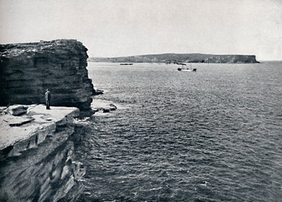 Cabezas de Sídney, en el Gap en Watsons Bay, c1900 de Unbekannt