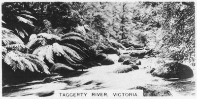Río Taggerty, Victoria, Australia, 1928 de Unbekannt
