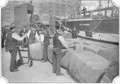 Conteo de fardos de lana en los muelles de Londres, c1900 1901 de Unbekannt