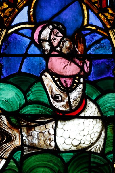 Iglesia calvinista Temple Saint-Étienne, Vidriera, Jonás y la Ballena, Estrasburgo, Francia de Unbekannt