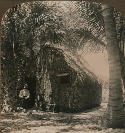Cabaña de paja en Cocoanut Grove, Florida, EE.UU., c1900 de Unbekannt