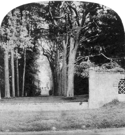 La avenida, Guys Cliff, Warwick, principios del siglo XX de Unbekannt