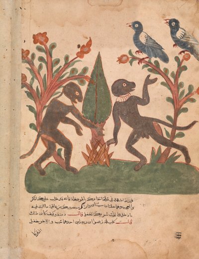 Los pájaros y los monos con la luciérnaga, folio de un Kalila wa Dimna, siglo XVIII de Unbekannt