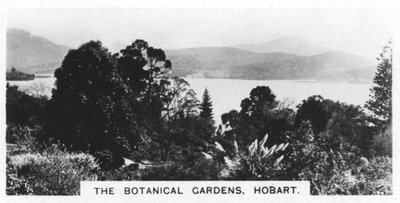 Los Jardines Botánicos, Hobart, Tasmania, 1928 de Unbekannt