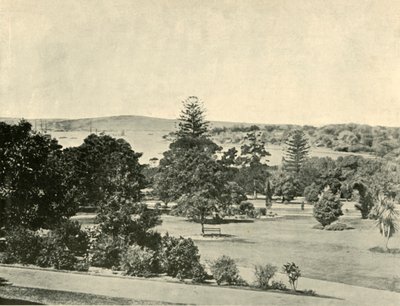 Los Jardines Botánicos de Sídney, 1901 de Unbekannt