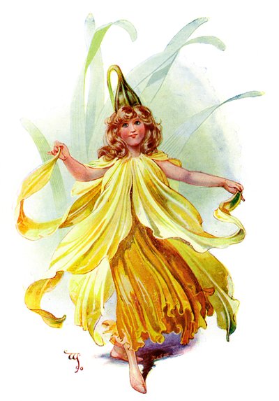 El narciso, 1899 de Unbekannt