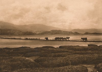 El Dovey en Ynyslas, 1902 de Unbekannt