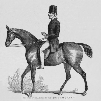 El Duque de Wellington, c1842 de Unbekannt
