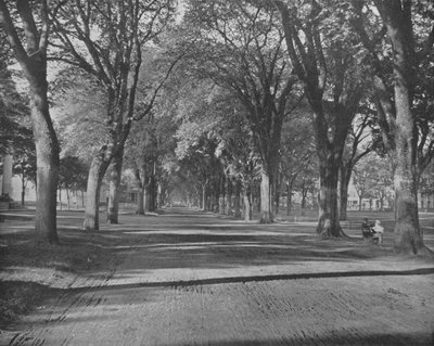 The Elms, New Haven, Connecticut, EE.UU., c1900 de Unbekannt