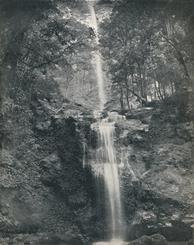 La cascada de Emu Vale, siglo XIX de Unbekannt
