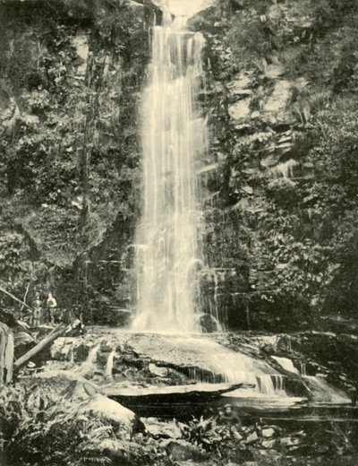 Las Cataratas Erskine, cerca de Lorne, 1901 de Unbekannt
