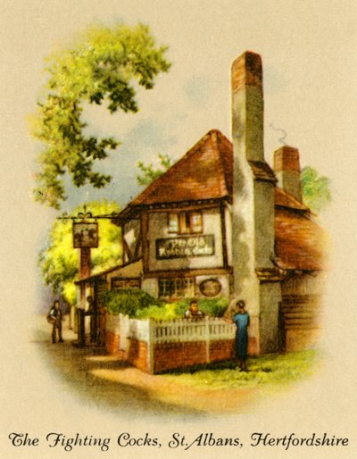 Los gallos de pelea, St. Albans, Hertfordshire, 1936 de Unbekannt