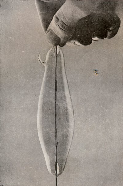 La primera lámpara eléctrica incandescente, c1916 de Unbekannt