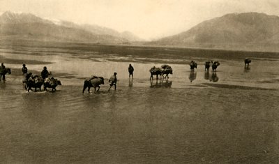 La primera vista del Monte Everest, c1918-c1939 de Unbekannt