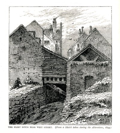 El canal Fleet cerca de West Street, durante las alteraciones, 1844 de Unbekannt