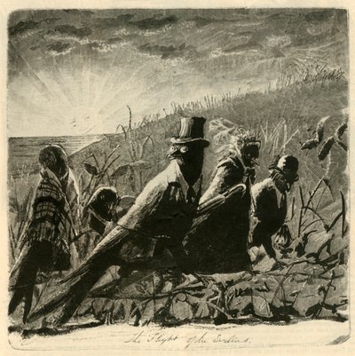 El vuelo de las golondrinas, 1882 de Unbekannt