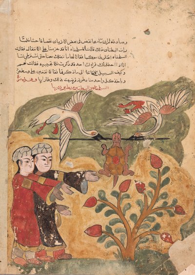La Huida de la Tortuga, Folio de un Kalila wa Dimna de Unbekannt