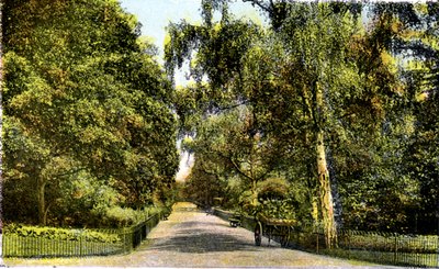 El Paseo de las Flores, Jardines de Kensington, Londres, siglo XX de Unbekannt