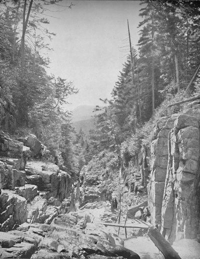 La Flume, Montañas Blancas de Franconia, N.H., c. 1897 de Unbekannt