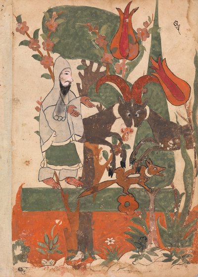 El zorro y los carneros luchadores observados por el asceta, Folio de un Kalila wa Dimna, siglo XVIII de Unbekannt