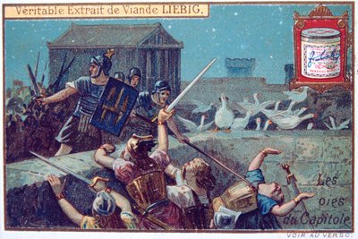 Los Gansos de la Capital, tarjeta comercial continental de Liebig, c1900 de Unbekannt
