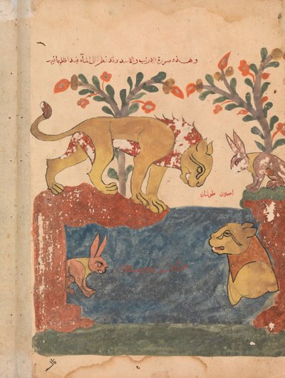 La liebre, el león y el pozo, folio de un Kalila wa Dimna, siglo XVIII de Unbekannt
