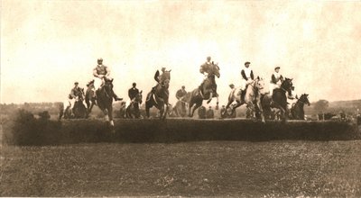 La Copa de Caza, Punchestown de Unbekannt