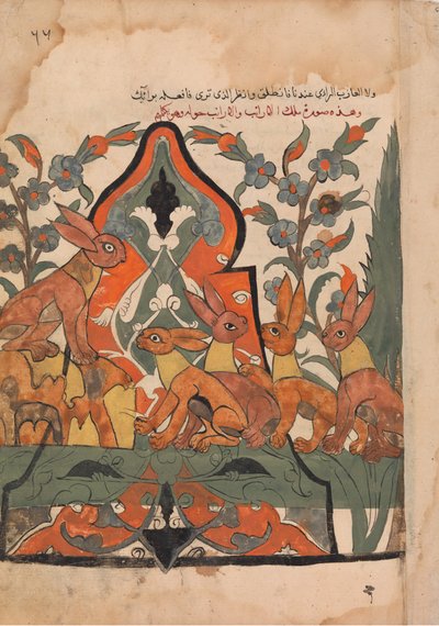 El rey de las liebres en consejo con sus súbditos, folio de un Kalila wa Dimna, siglo XVIII de Unbekannt