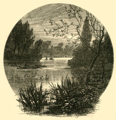 El lago, Parque Battersea, c1878 de Unbekannt