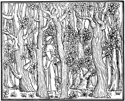 El amante en el bosque, 1499 de Unbekannt