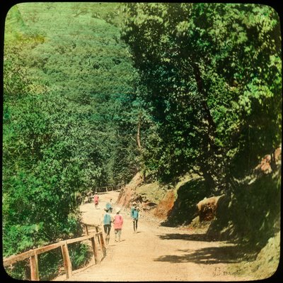 El Mall Road, Simla, India de Unbekannt