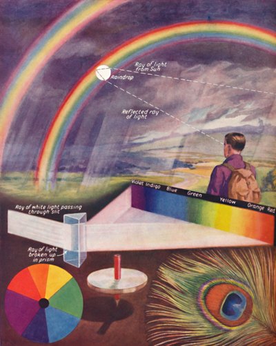 Los muchos colores que componen la luz blanca de Unbekannt