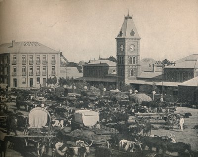El Mercado, Kimberley de Unbekannt