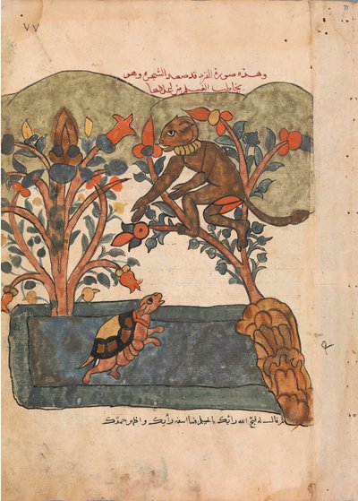 El mono escapa a la seguridad del árbol de higuera, Folio de un Kalila wa Dimna, siglo XVIII de Unbekannt