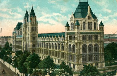 El Museo de Historia Natural, Londres, c1910 de Unbekannt