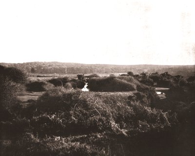 El Nuevo Bosque, Hampshire, 1894 de Unbekannt
