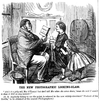 El nuevo espejo fotográfico, caricatura de Punch, prueba diaria de los orígenes del hombre, 1861 de Unbekannt