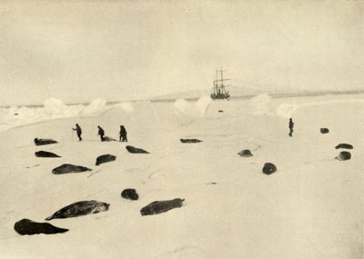 El Nimrod en Pram Point el 4 de marzo de 1909 de Unbekannt
