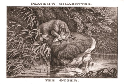 La nutria, 1924 de Unbekannt