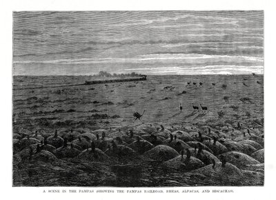 El ferrocarril de las Pampas, tierras bajas de América del Sur de Unbekannt