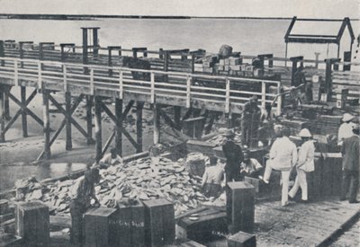 La industria de la pesca de perlas - Empaque de conchas, 1923 de Unbekannt