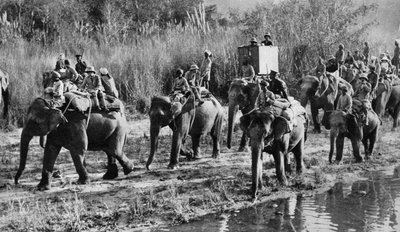 El Príncipe de Gales cazando tigres en India, 1921 de Unbekannt