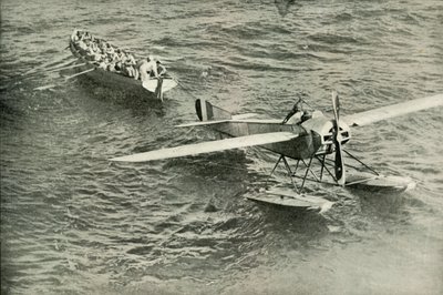 El regreso de la paloma al arca, 1919 de Unbekannt