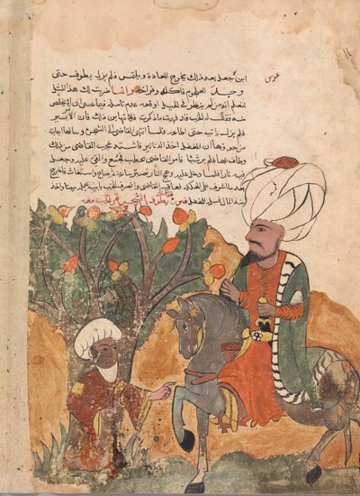 El padre del pícaro emerge del árbol, folio de un Kalila wa Dimna, siglo XVIII de Unbekannt